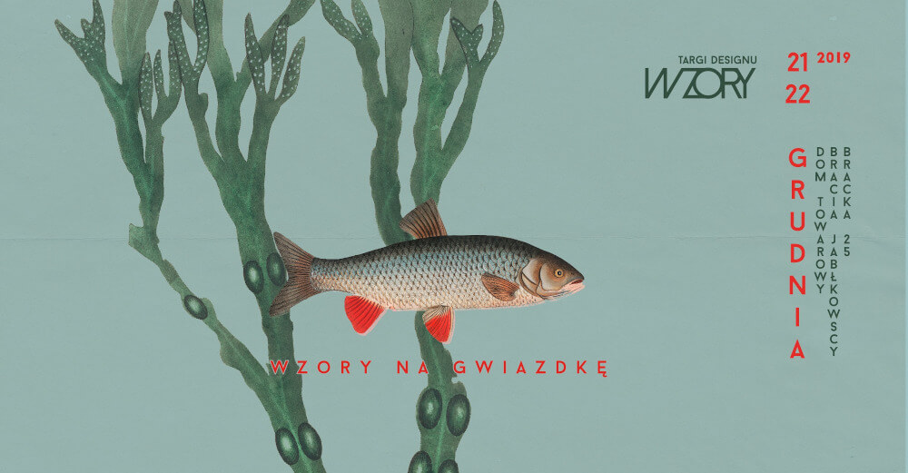 WZORY na gwiazdkę!